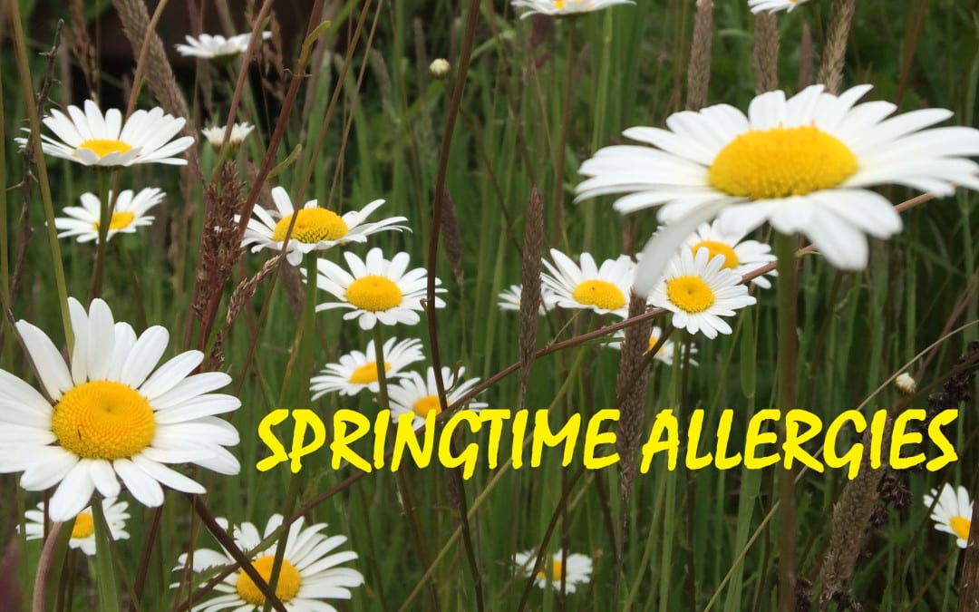 Springtime Allergies and your Trane Heating & Cooling System